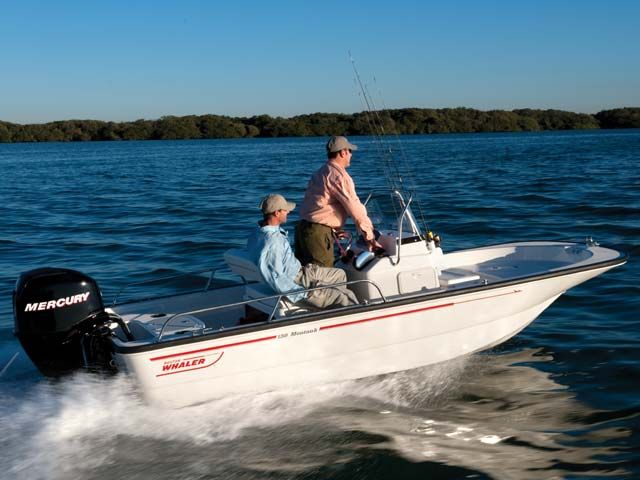 2015 Boston Whaler boat for sale, model of the boat is 150 & Image # 2 of 31