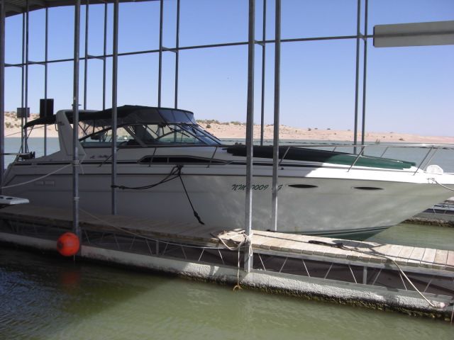1991 Sea Ray boat for sale, model of the boat is 350 Sundancer & Image # 1 of 17