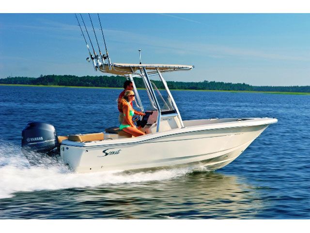 2017 Scout boat for sale, model of the boat is 195 Sportfish & Image # 1 of 15