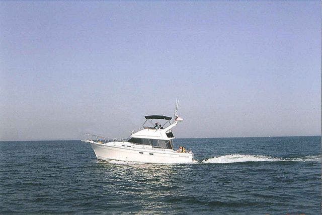 1990 Bayliner boat for sale, model of the boat is 3288MY & Image # 1 of 18