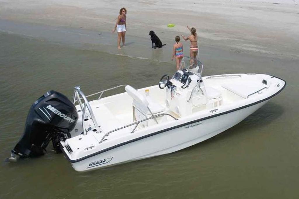 2019 Boston Whaler boat for sale, model of the boat is 180 Dauntless & Image # 3 of 4