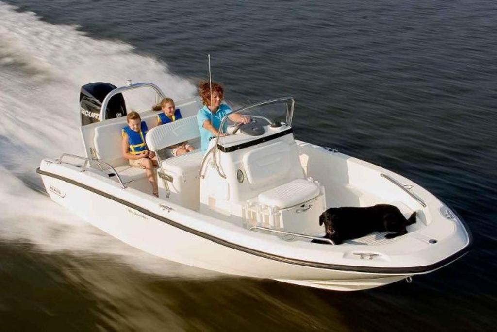 2019 Boston Whaler boat for sale, model of the boat is 180 Dauntless & Image # 1 of 4