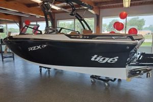 2021 TIGE 20 RZX for sale
